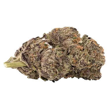 5 Points Cannabis — Blueberry Yum Yum (3.5g)