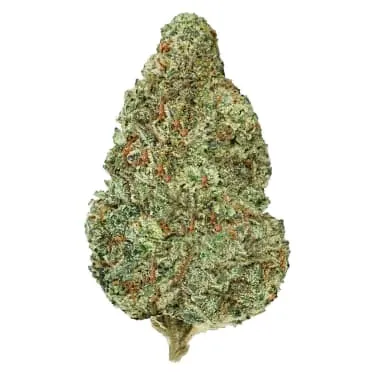Back Forty — Chemzilla (7g)