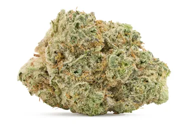 Back Forty — Fire Breath (28g)