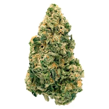 Back Forty — Galactic Jack (28g)