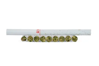 Back Forty — Lemon Diesel (10 x 0.35g)