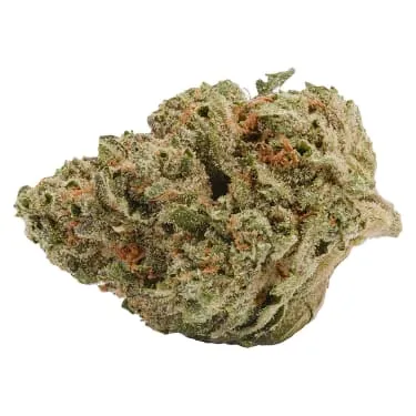 Back Forty — Liquid Imagination (7g)
