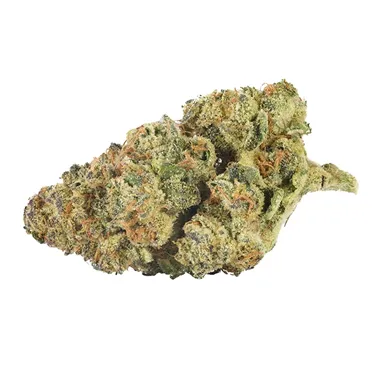 Back Forty — Mandarin Cookies (28g)