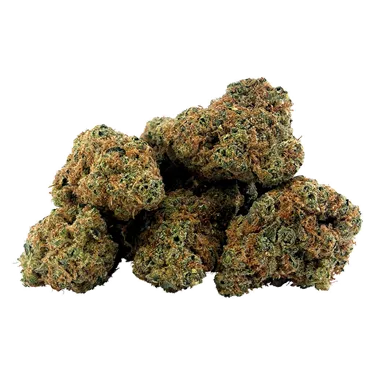 BC 1/4 — Gasserole (7g)