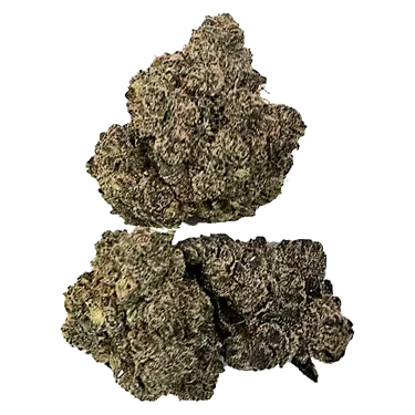Buzz'd — Honey OG (3.5g)