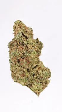 Buzz'd — Honeycomb Haze (7g)