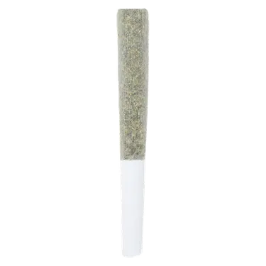 Crooked Dory — AAA+ Sativa (5 x 0.5g)