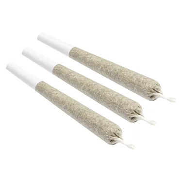 Encore — Back Stage Pass Sativa (10 x 0.5g)