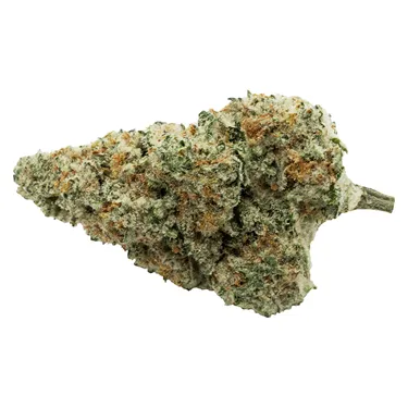 Encore — Back Stage Pass Sativa (28g)