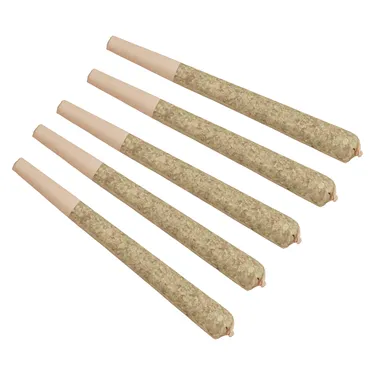 Encore — Razzle Dazzle Raspberry (5 x 0.5g)