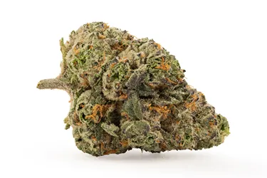 FIGR — Midnight Sherb (7g)