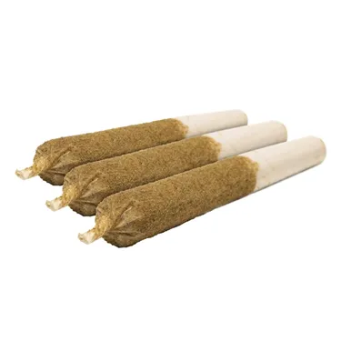 General Admission — Taster Pack Distillate Infused & Kief Coated (5 x 0.5g)