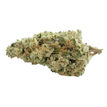 HOTBOX — Game Over (14g)