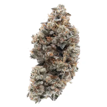 Northern Canna — Frosted Guava Nuts (3.5g)