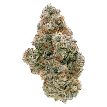 Northern Canna — Galactic Guava (3.5g)