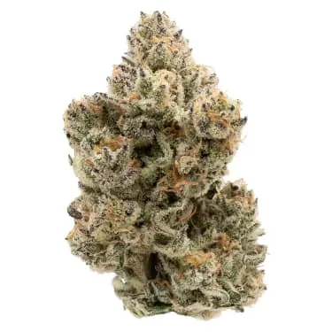 Northern Canna — The Collective Half Q (3.5g)