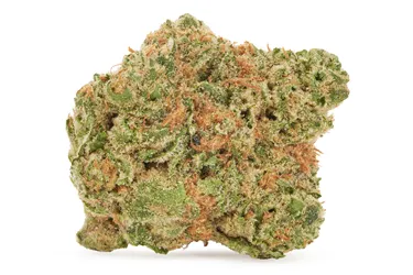Potluck — Beaver Tail (7g)