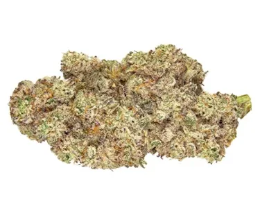 Qwest — Grape Cream Cake (7g)