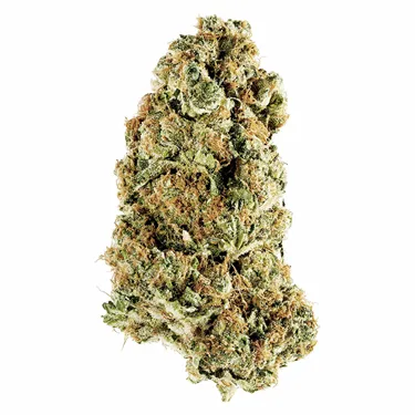 Redecan — Animal Rntz (14g)