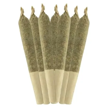 Sheeesh! — Bluefin Tuna Pre-Roll (1 x 3.5g)