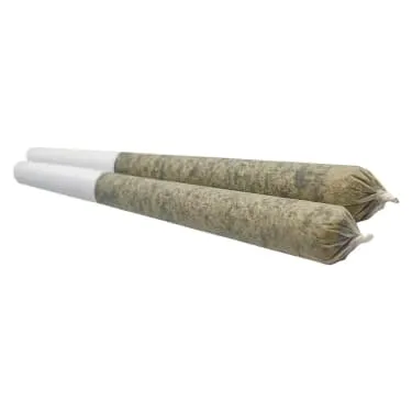 Sheeesh! — Trop Cherry Pre-Roll (1 x 3.5g)