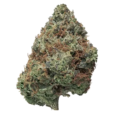 Simply Bare — BC Organic Pink Drip (3.5g)