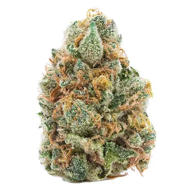 Spinach — GMO Cookies (3.5g)