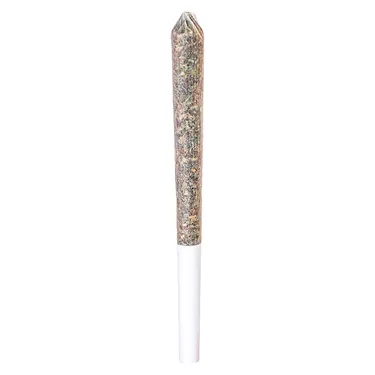 Station House — Northern Lights (1 x 0.5g)