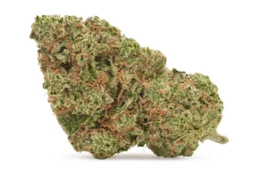 Station House — Northern Lights (3.5g)