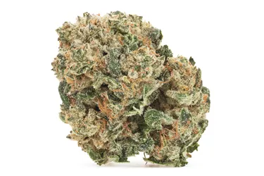 The Original Fraser Valley — Kush Breath (28g)