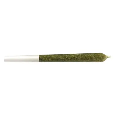 Volo — Orange Turpentine Pre-Roll (1 x 0.7g)
